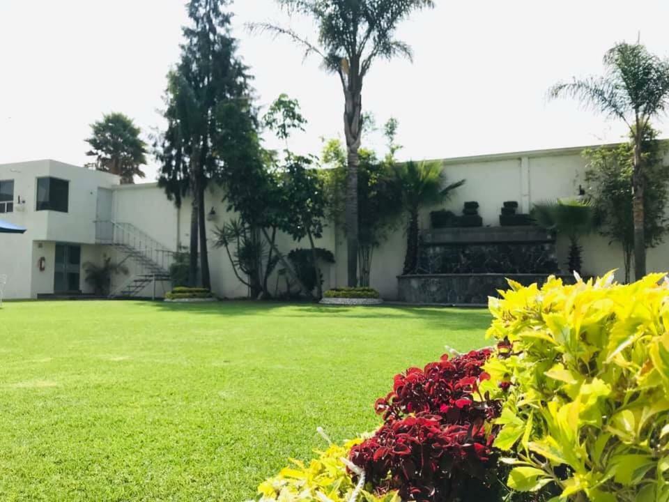 Hotel Posada Maria Sofia تشولولا المظهر الخارجي الصورة